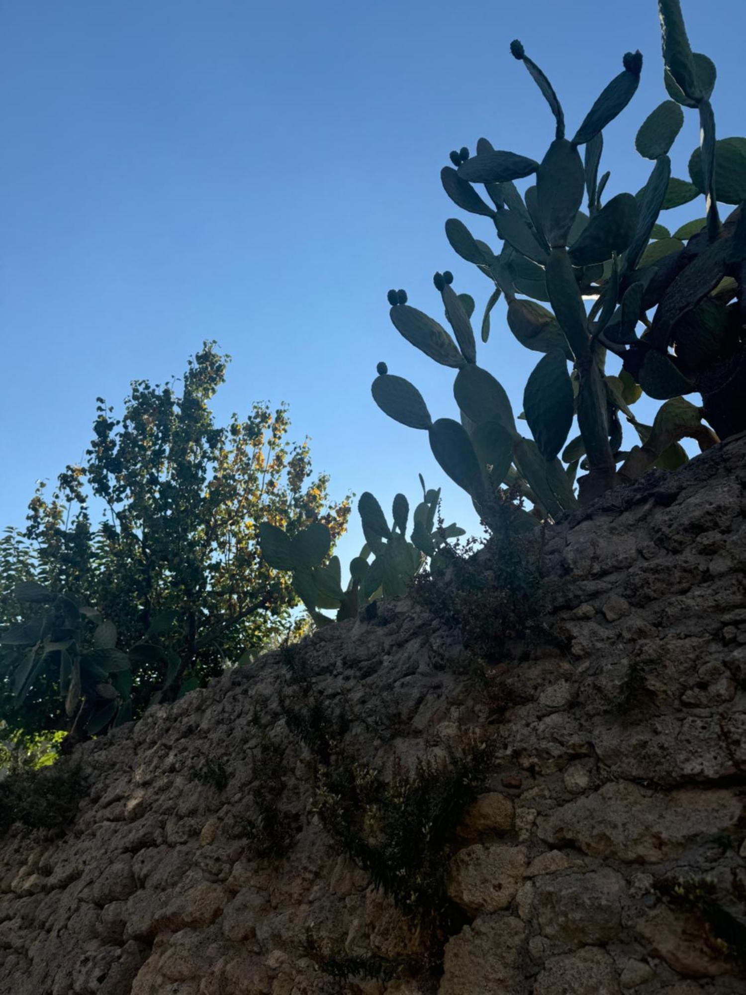 La Rosa Blu Panzió Gerace Kültér fotó