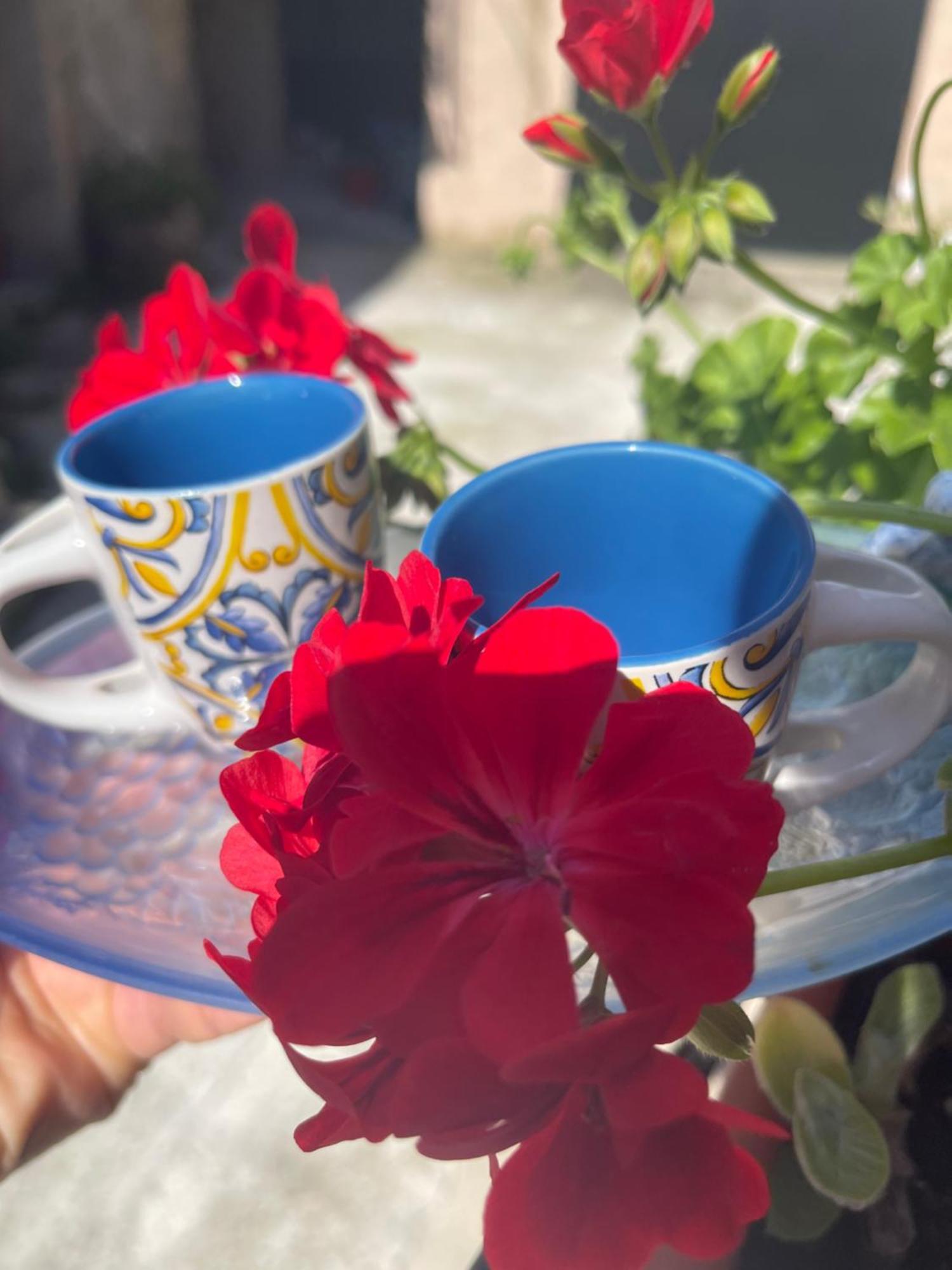 La Rosa Blu Panzió Gerace Kültér fotó